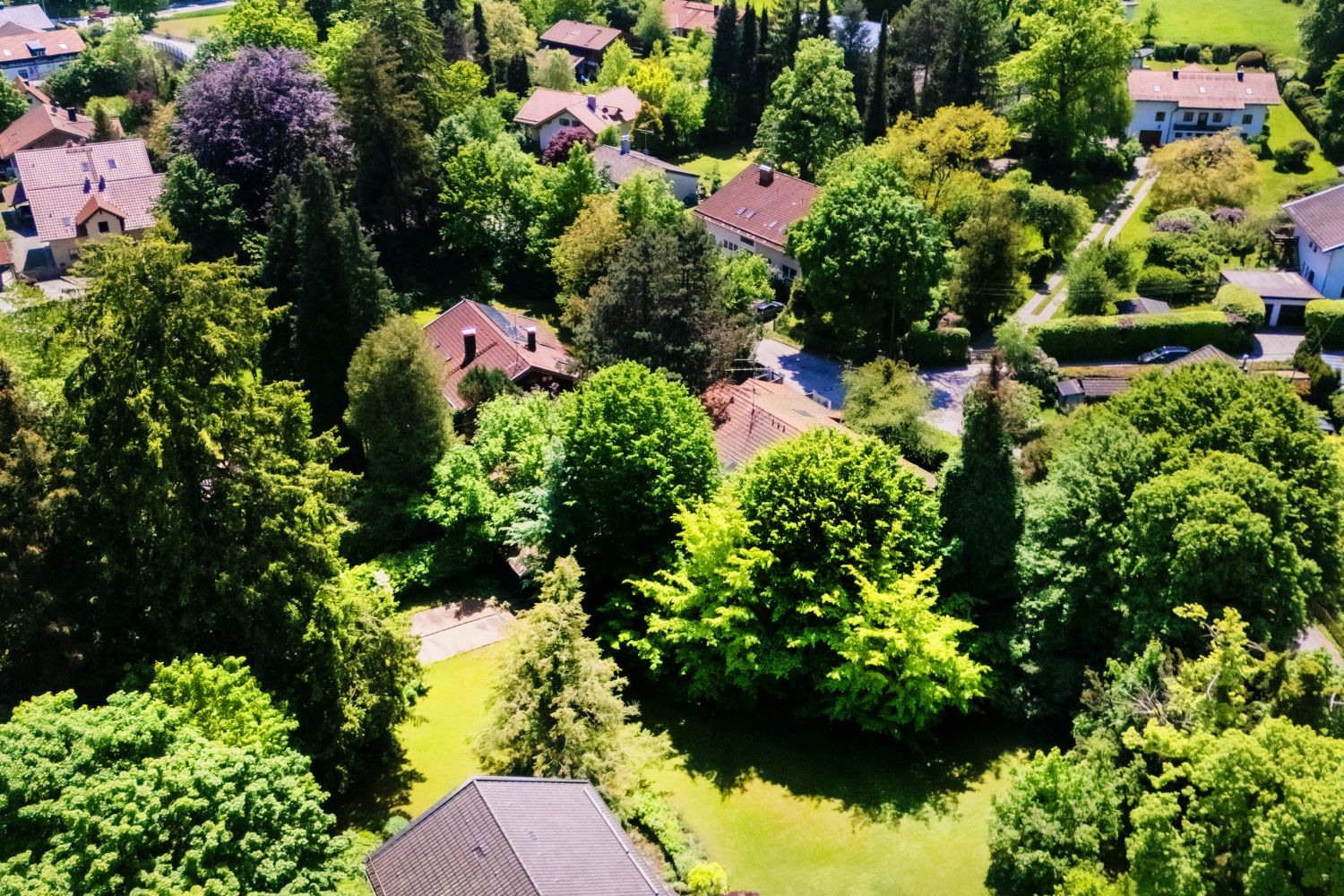 Garten von Grundstück für DHH, EFH oder Mehrgenerationenhaus