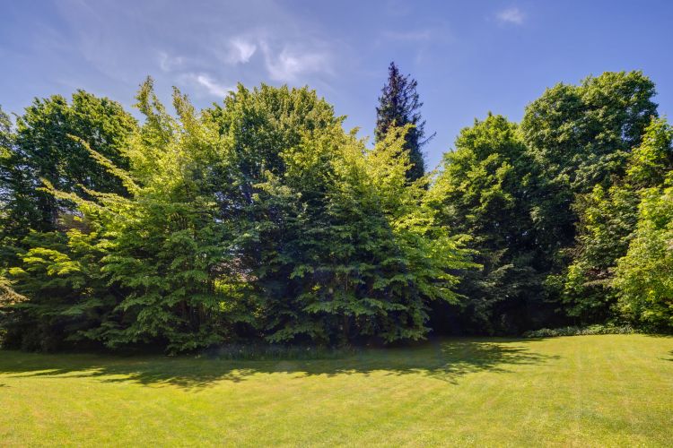 Neubauprojekt mit Doppelhaus in Schäftlarn/Ebenhausen im Isartal zum Kauf Gartenansicht