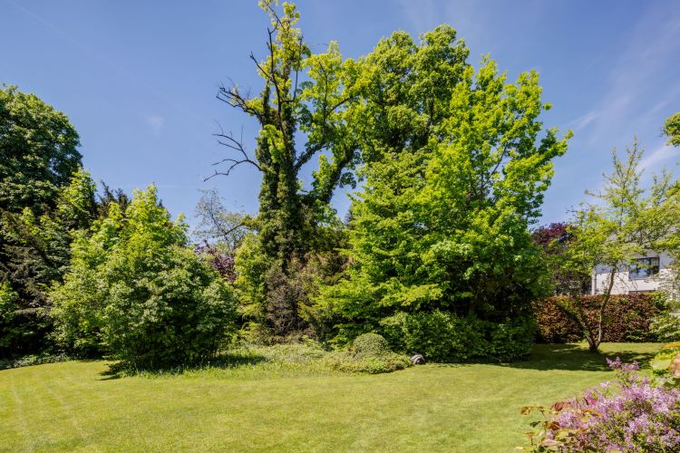 Grundstück zum Kauf für Einfamiienhaus, Doppelhaus oder Mehrgenerationenhaus  im Grünen in Schäftlarn/Ebenhausen in grüner Lage im Isartal - Gartenansicht.