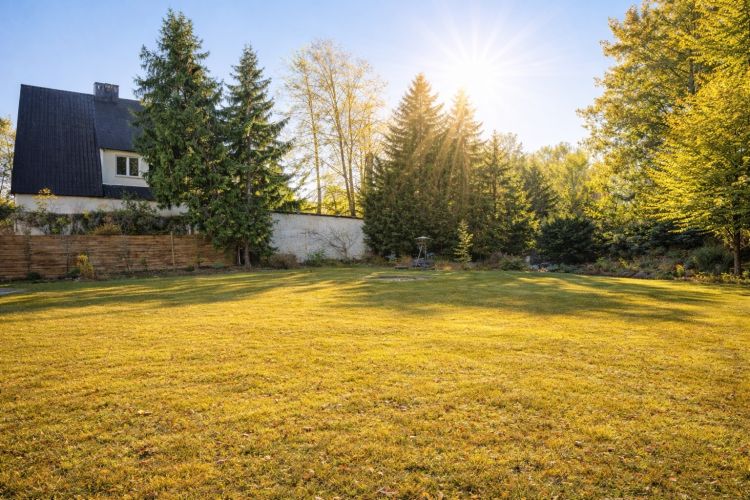 Grundstück zum Kauf für Einfamiienhaus, Doppelhaus oder Mehrgenerationenhaus  in München Sollln  in grüner Lage - stadtnah -  Gartenansicht.