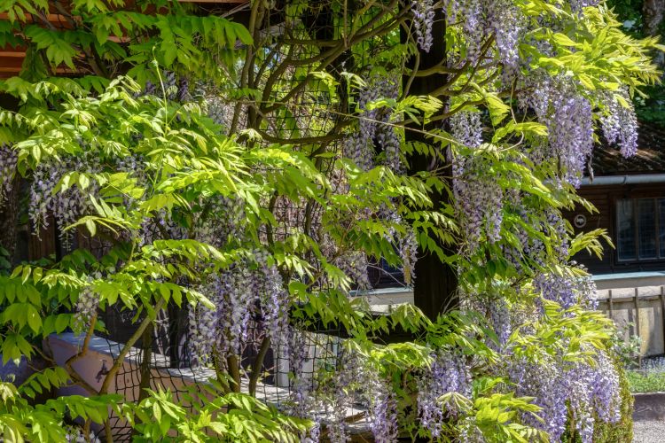 Neubauprojekt mit Doppelhaus Detailfoto